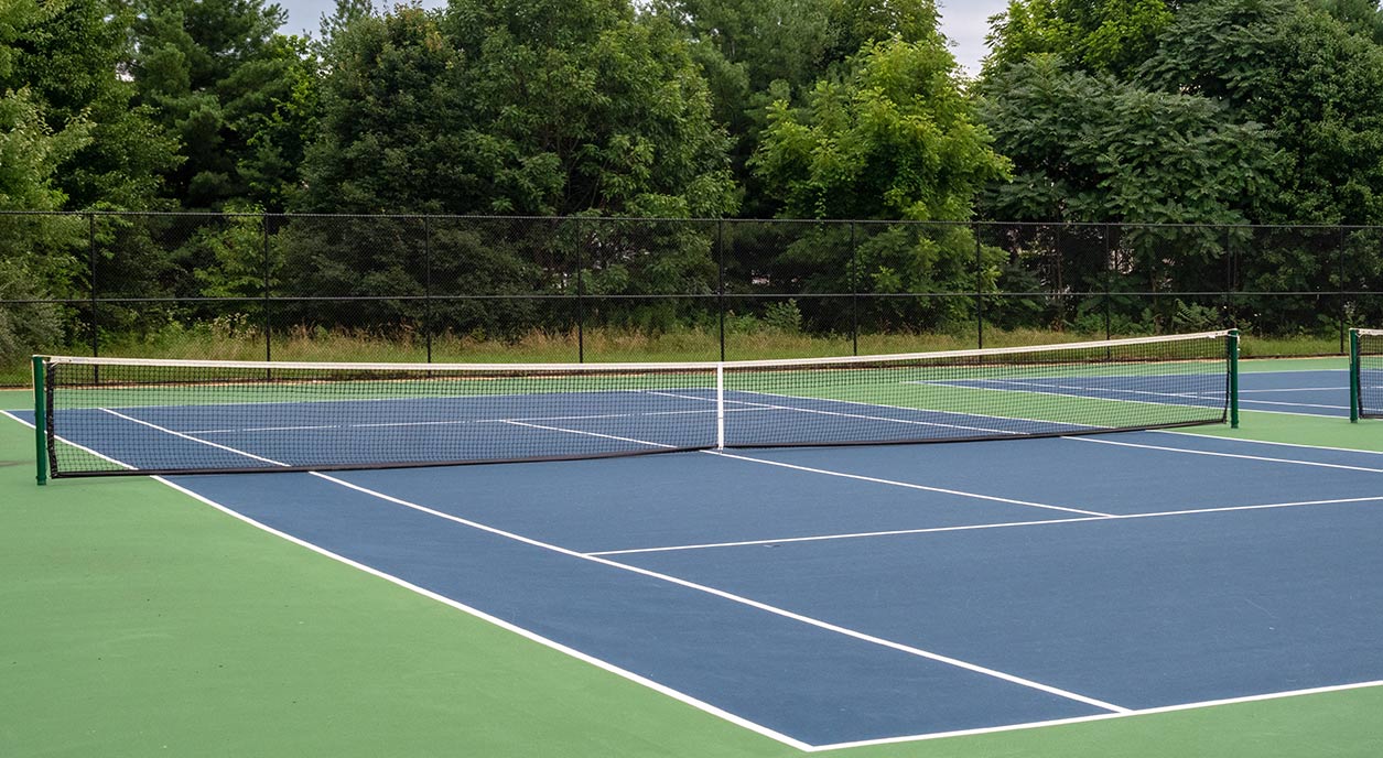 Cushioned-hard-court in florida